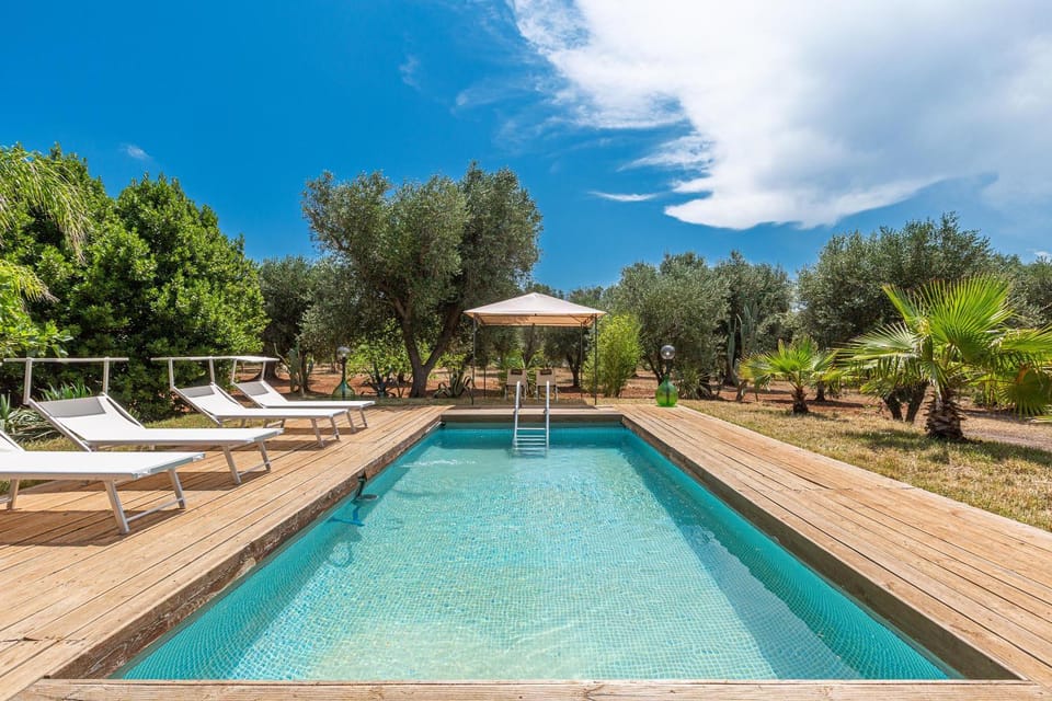 Garden, Swimming pool, sunbed