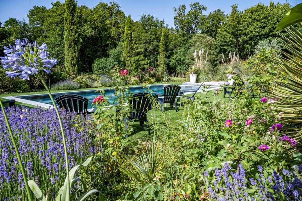 Natural landscape, Garden, Garden view