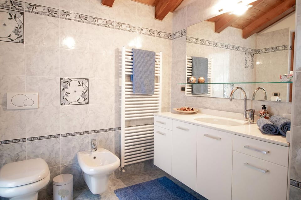 Shower, Toilet, Bathroom, towels