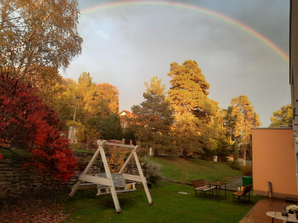 Day, Summer, Garden