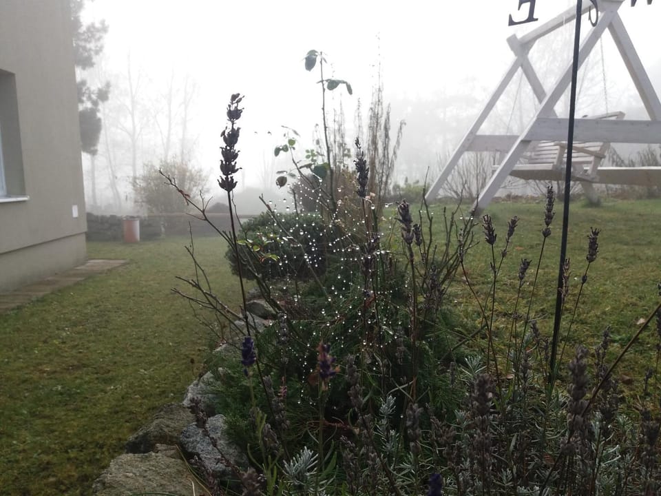 Natural landscape, Garden