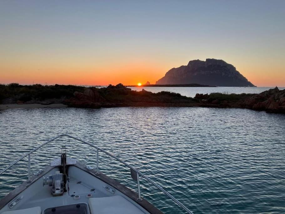 Day, Activities, Sea view, Sunrise, Sunset