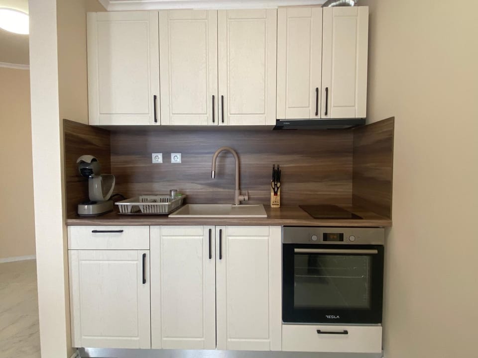 Kitchen or kitchenette, dishwasher, minibar, oven, pet friendly, stove