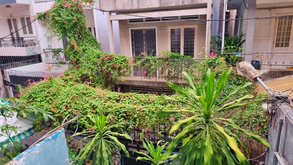 Garden view