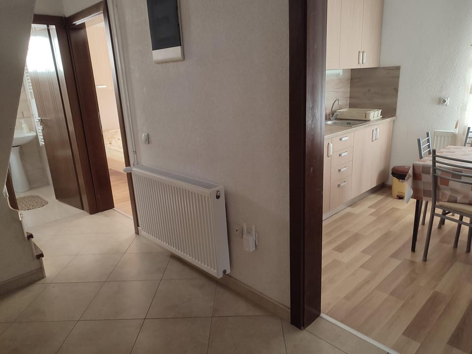 Snegar Guest House Apartment in Ohrid