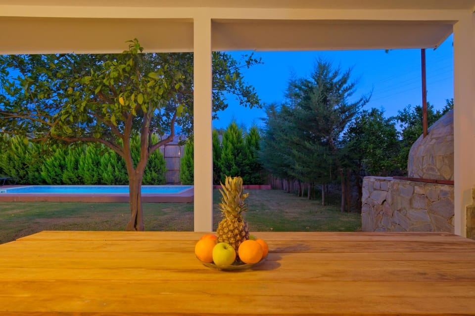 Night, Garden, Garden view