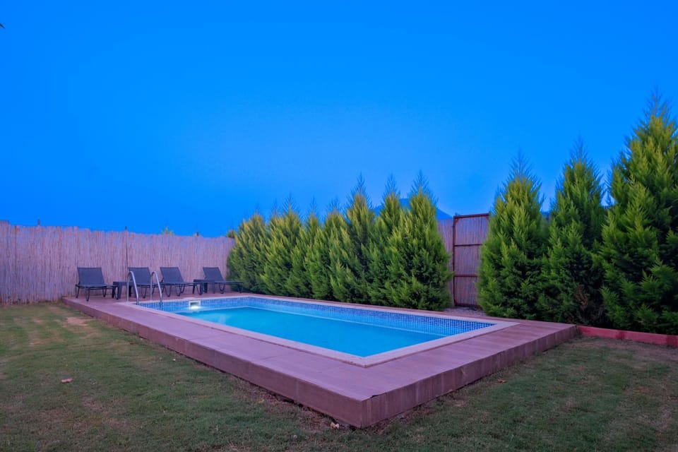 Night, Garden, Garden view, Pool view, Swimming pool, sunbed