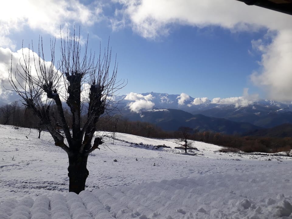 Natural landscape