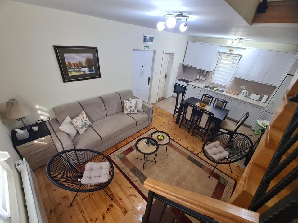 Vila Jovana - self check in Villa in Serbia