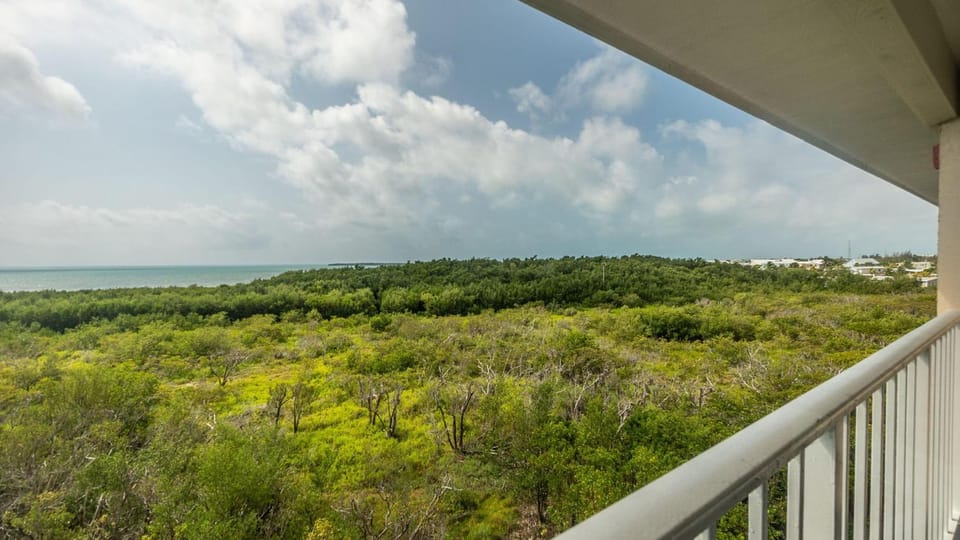 2405 Ocean Pointe Suites House in Tavernier