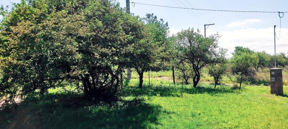 palo santo House in Cordoba Province