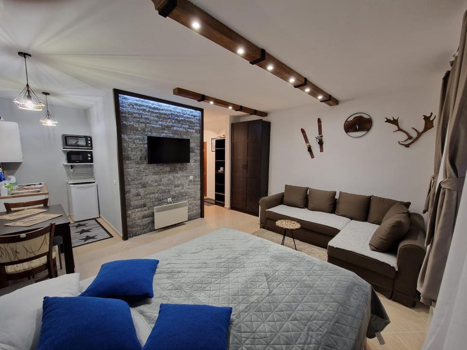 Green life, Bansko, private studio c-17 Apartment in Blagoevgrad Province