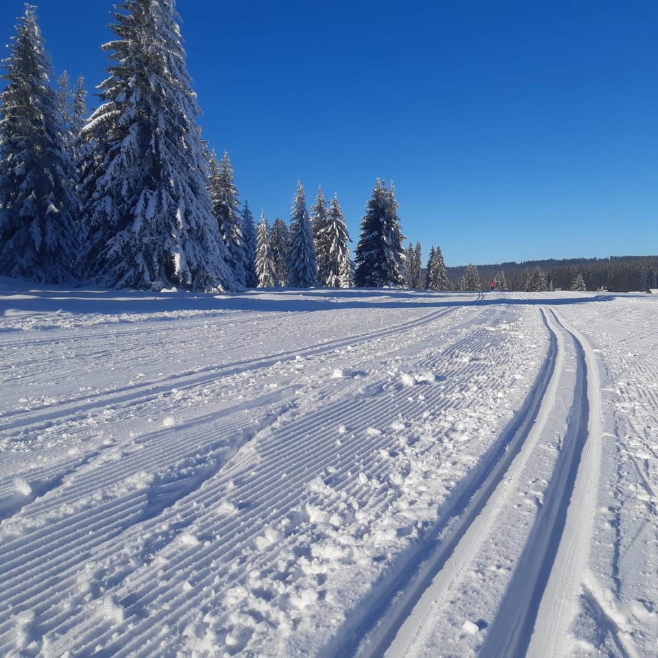 Apartmány Karolína - Kašperské Hory Apartment in Czechia