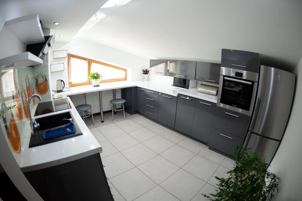 Kitchen or kitchenette, dishwasher, minibar, pet friendly, pet friendly, stove, stove, kitchen, kitchen
