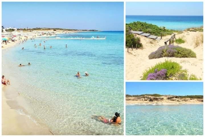 Il Maestrale Apartment in Province of Taranto