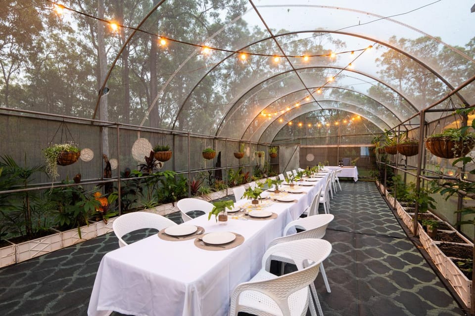 Patio, Garden, Banquet/Function facilities, Garden view