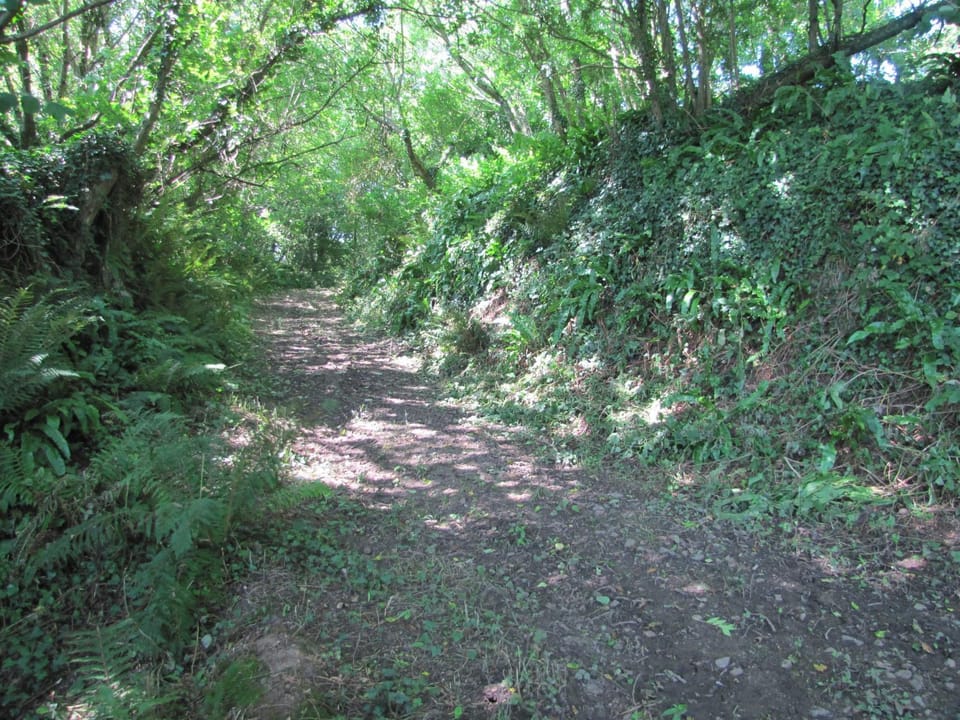 Natural landscape