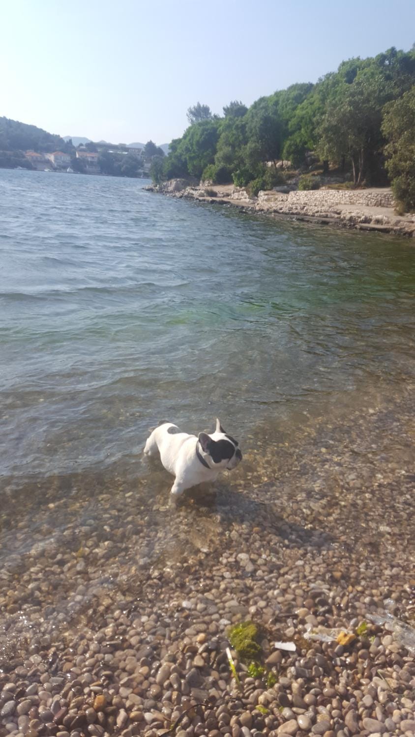 Off site, Beach