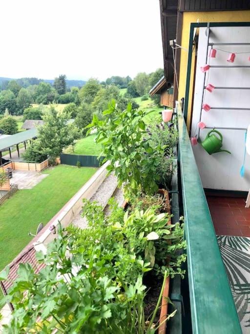 Cozy Apartment with a wonderful Panoramic View Apartment in Carinthia, Austria