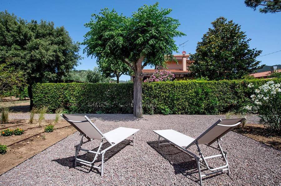Agriturismo La Sassicaia Farm Stay in Tuscany