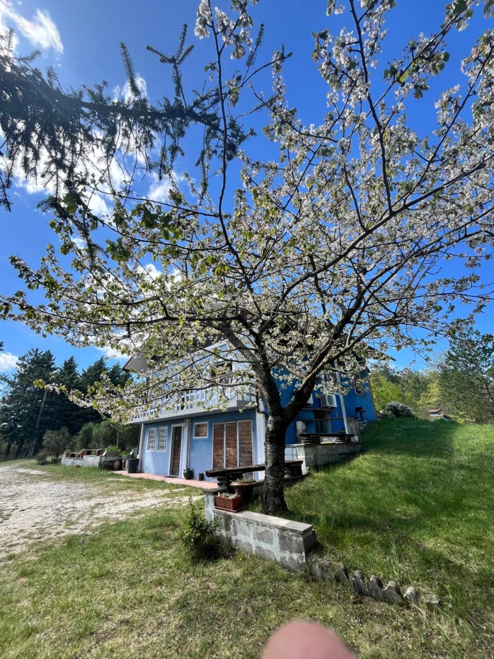 Chalet Ricciano House in Umbria