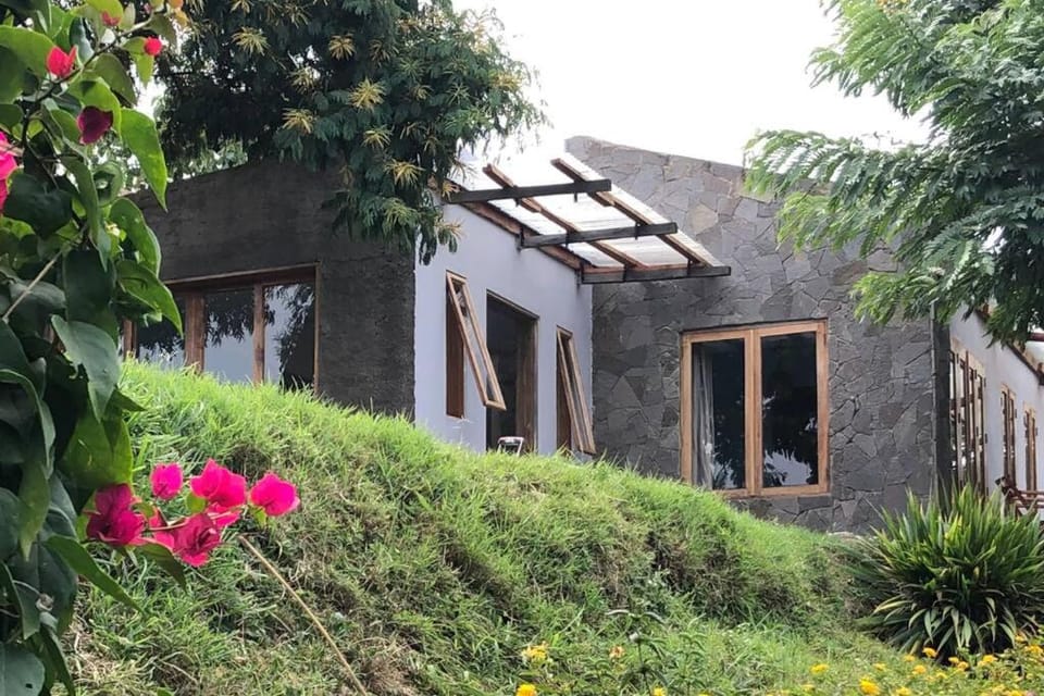 Property building, Garden view