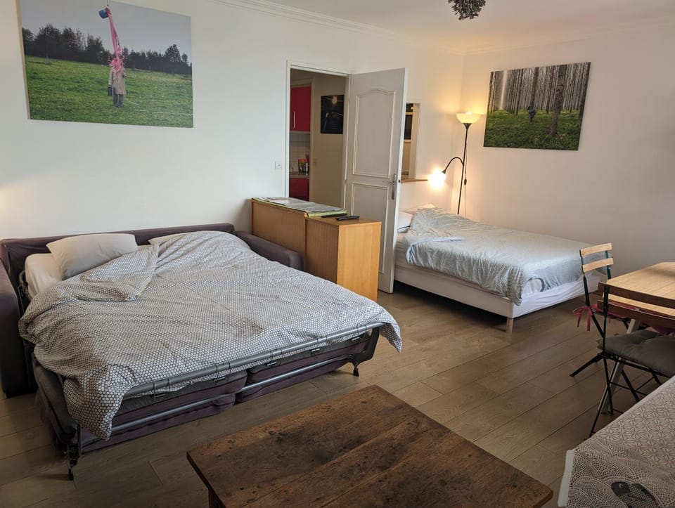 Large studio with terrace for up to 4 people Apartment in Paris
