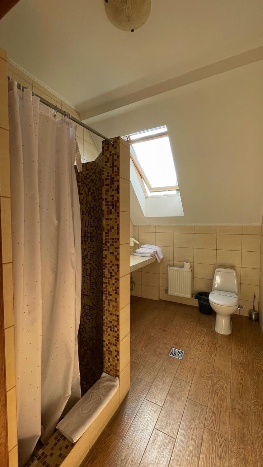 Shower, Toilet