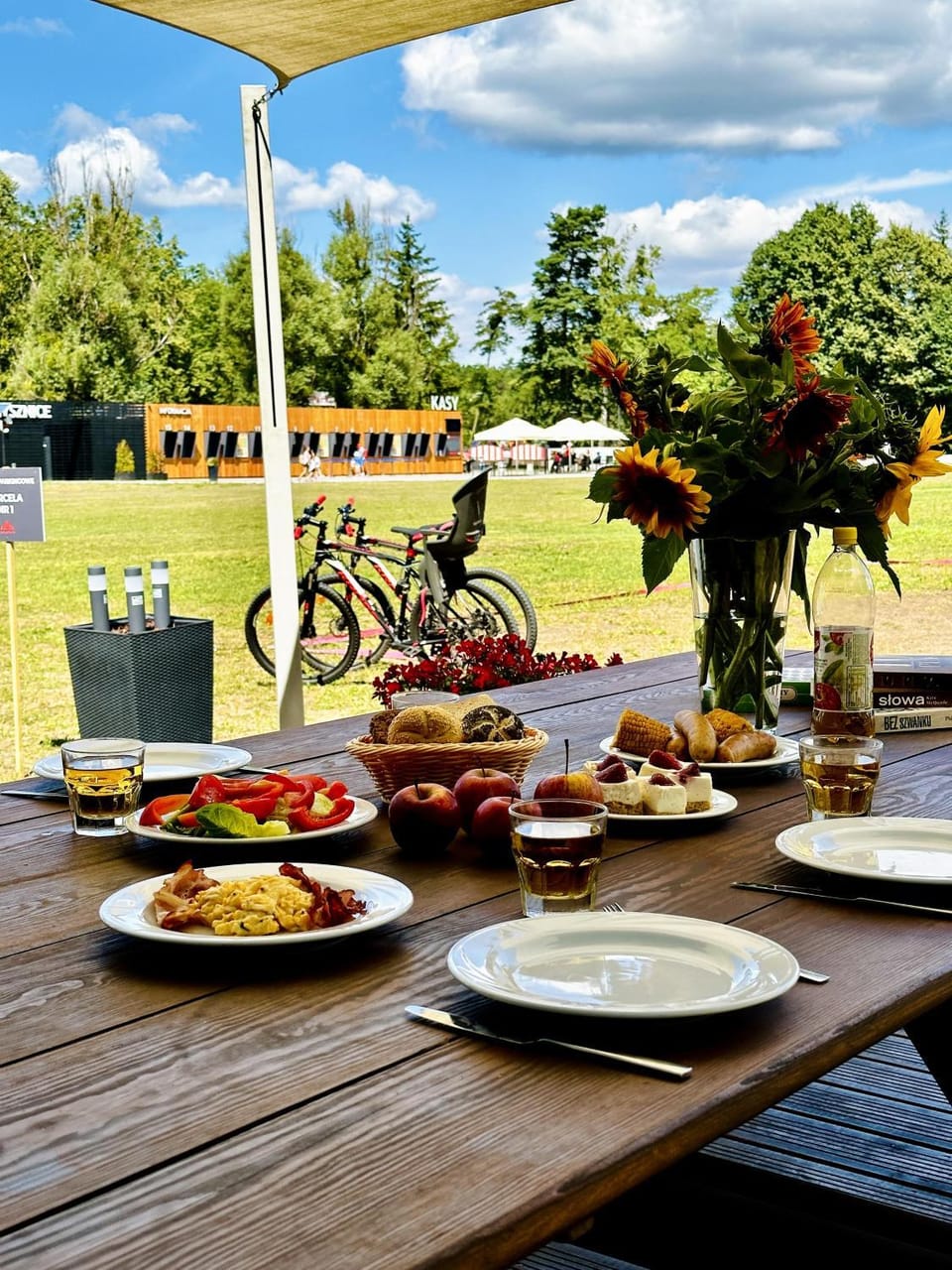 Garden, Food, Garden view
