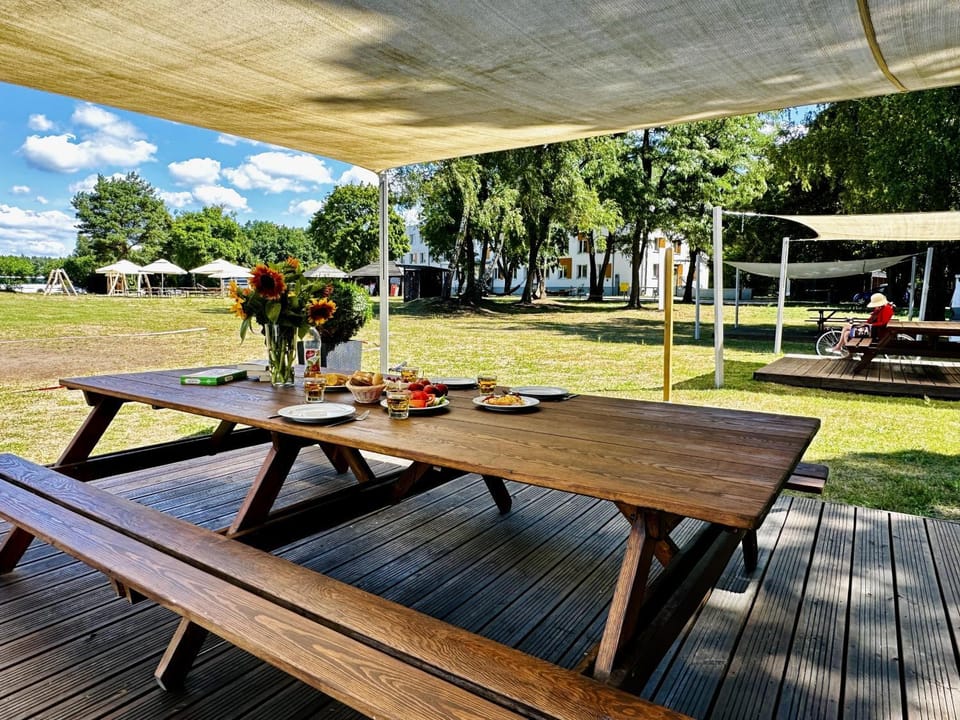 Natural landscape, Garden, Garden view