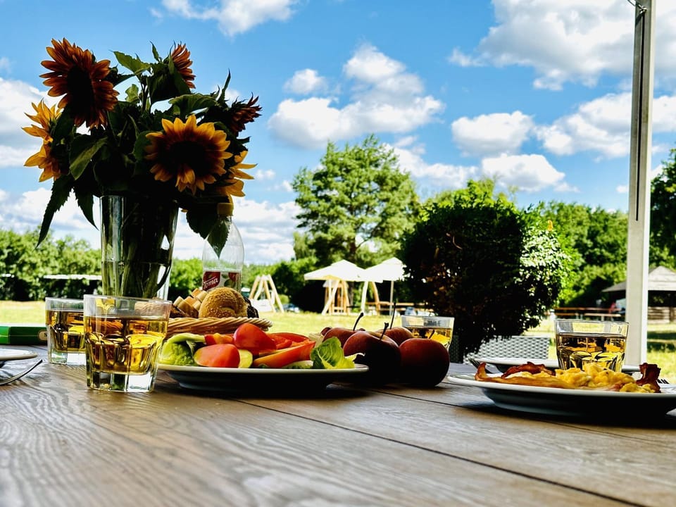 Garden, Food and drinks, Garden view