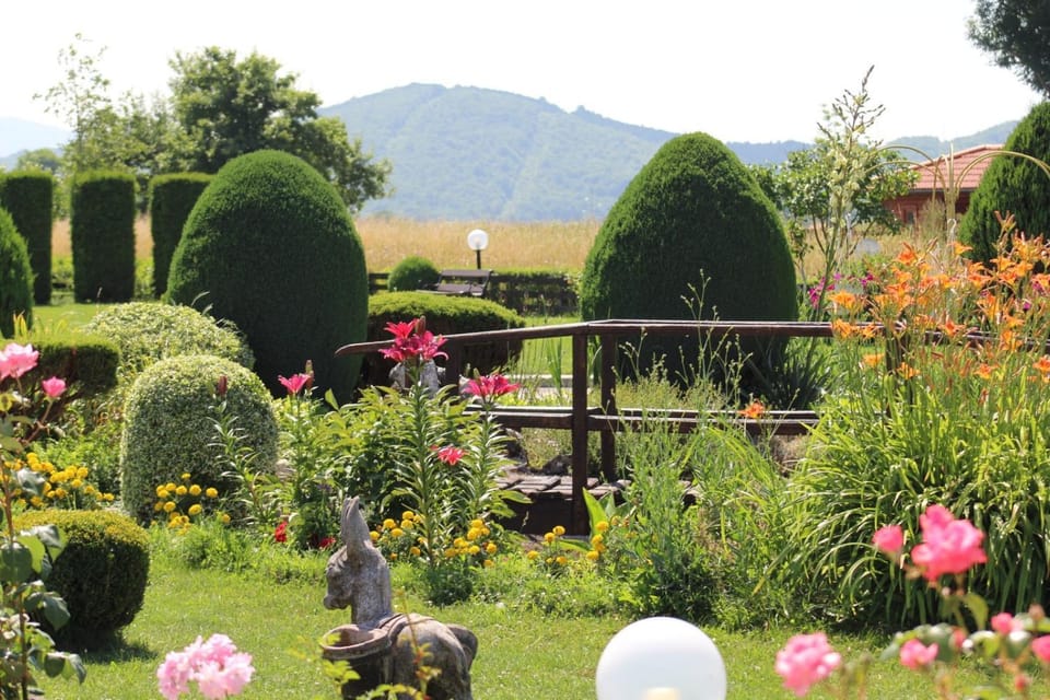 Restaurant/places to eat, Garden