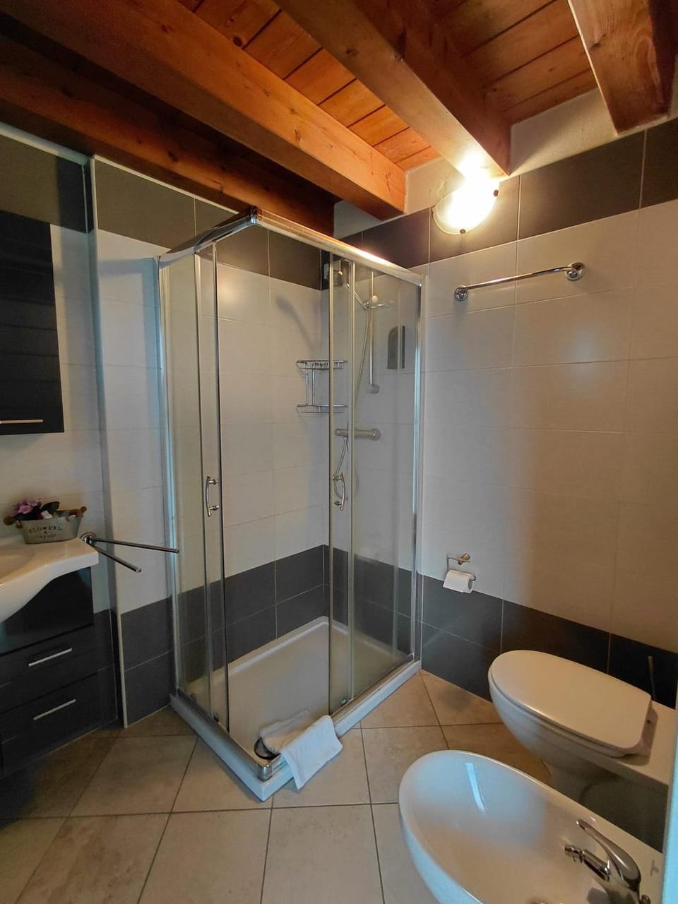 Shower, Toilet, Bathroom, bidet, towels