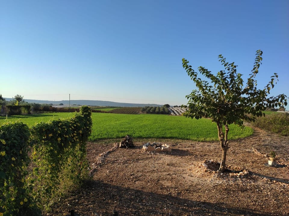 Natural landscape