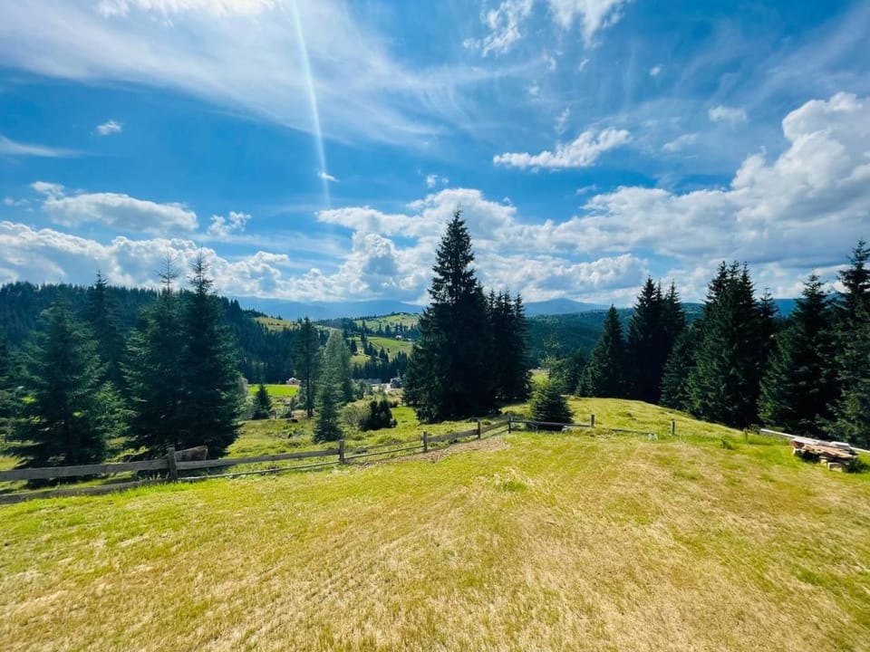 View (from property/room), Mountain view