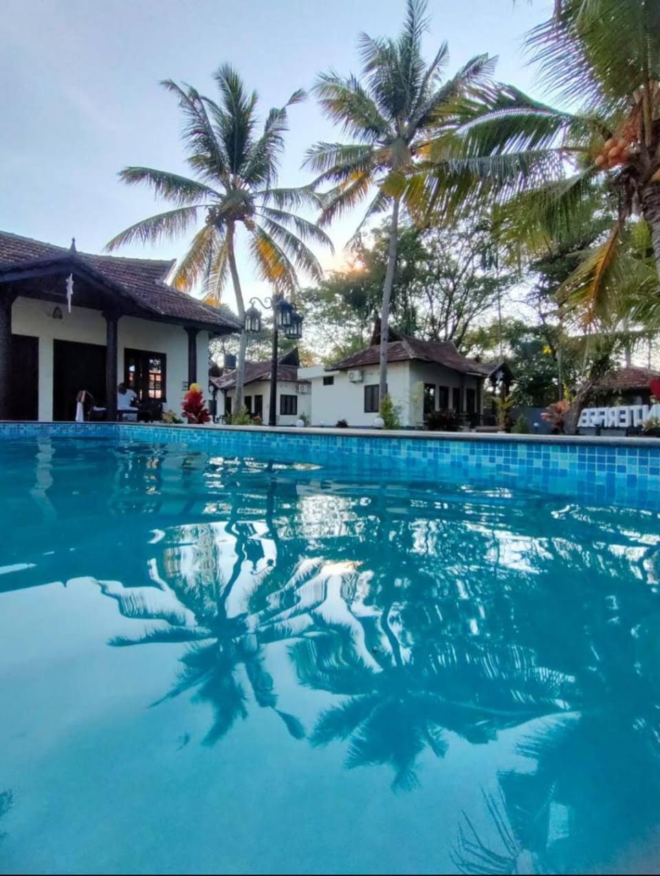 Pool view, Swimming pool