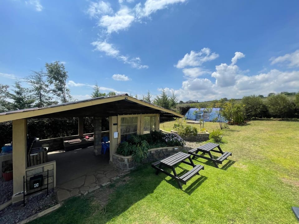 Communal kitchen, Garden view