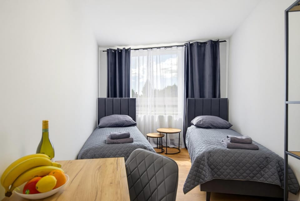 Apartamenty Centrum Apartment in Czechia