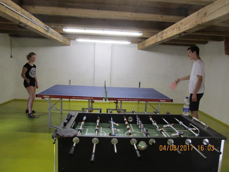 Table tennis, Sports, older children, group of guests