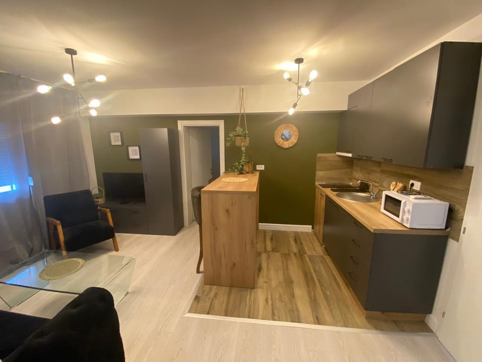 Kitchen or kitchenette, minibar, oven, pet friendly, stove