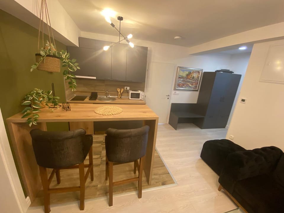 Kitchen or kitchenette, Living room, Seating area, Dining area, minibar, oven, pet friendly, stove