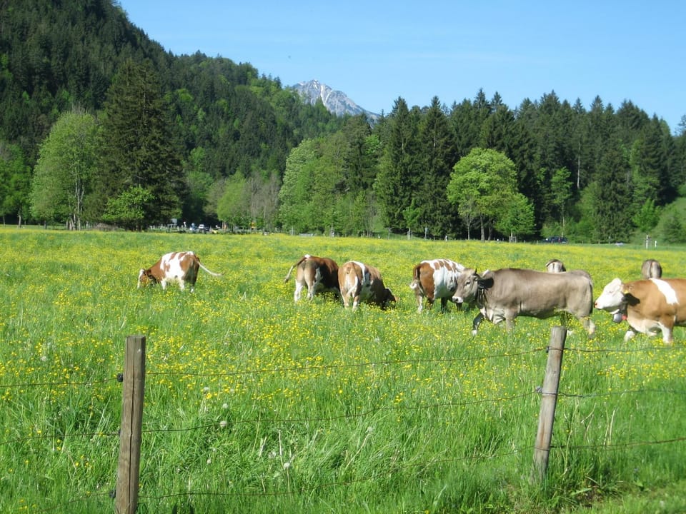 Natural landscape, View (from property/room)