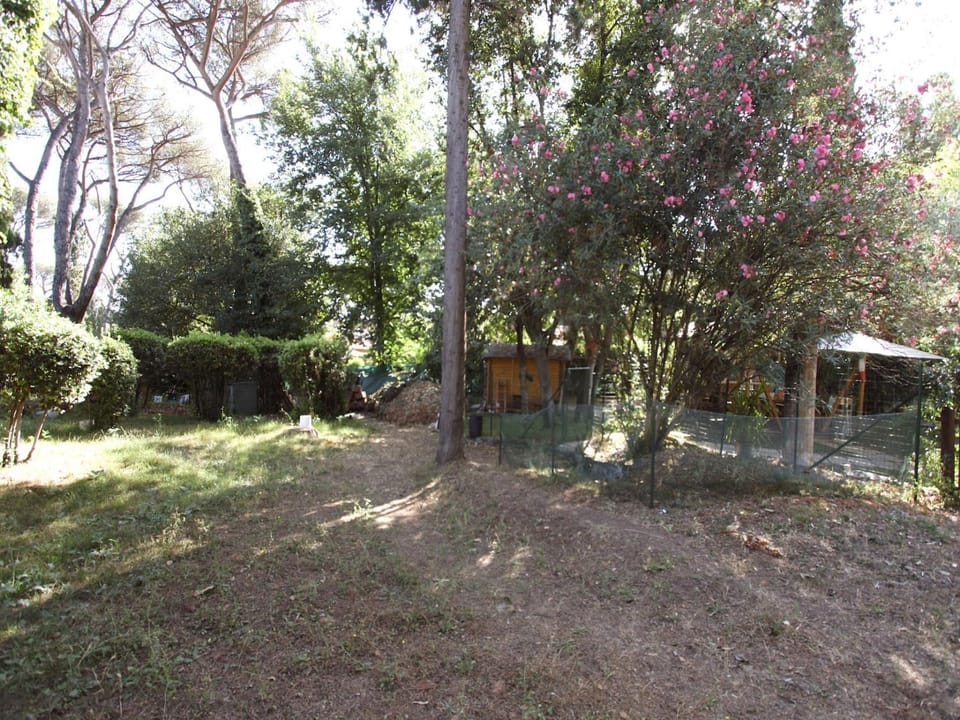 Garden, Garden view
