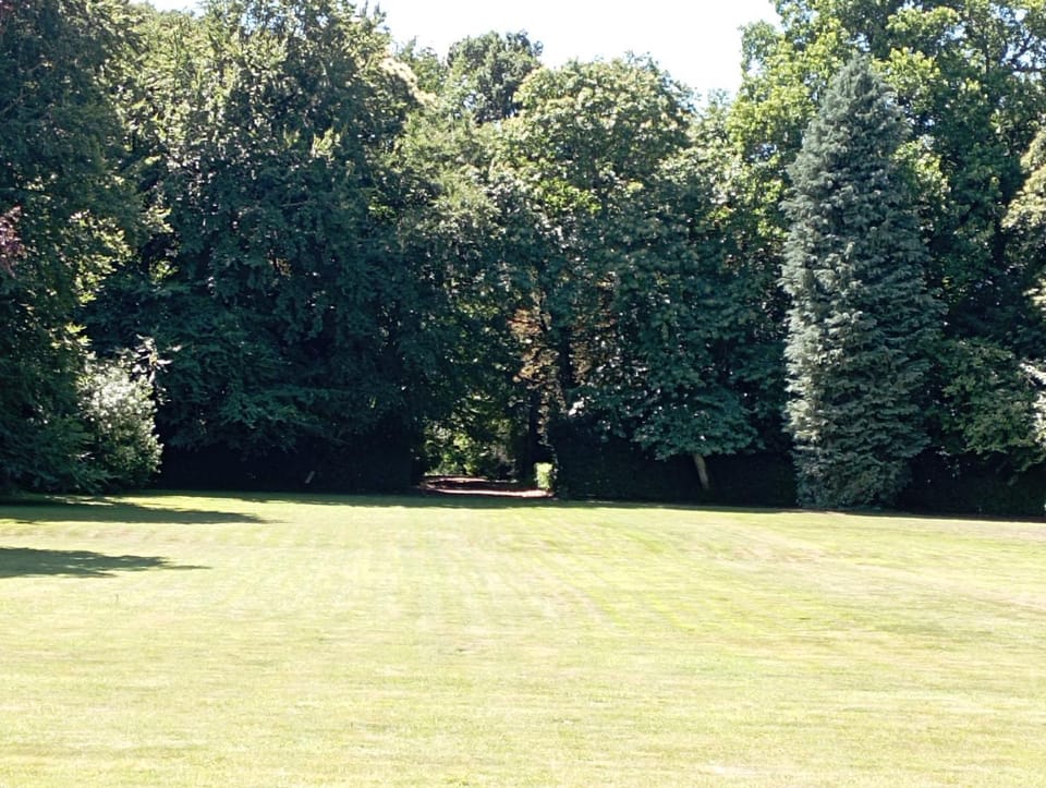 Garden view
