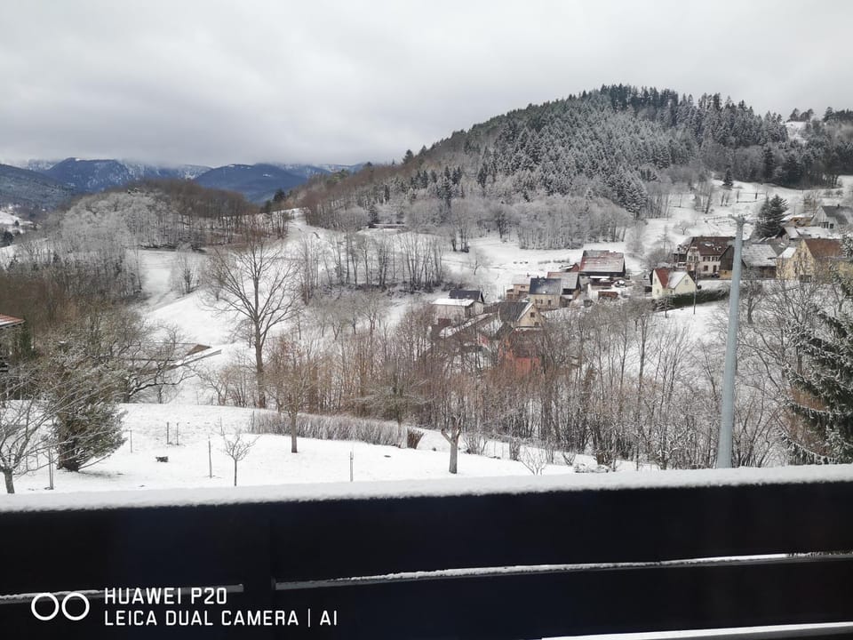 Winter, Mountain view