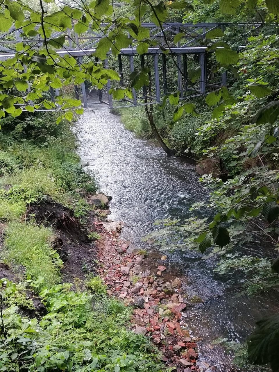 River view