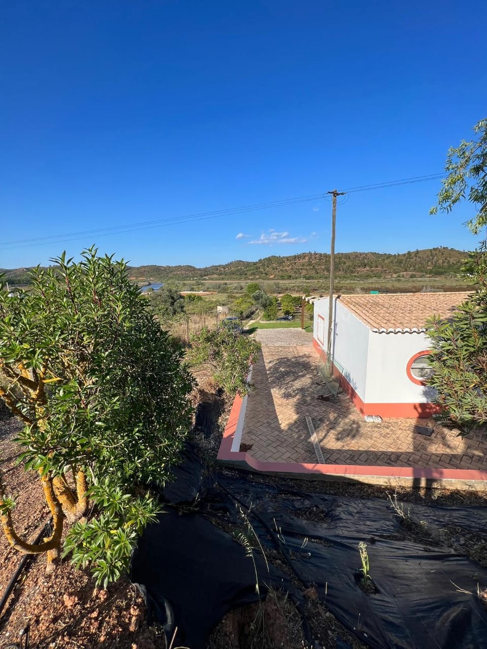 Quinta with orange and lemon trees House in Portimao