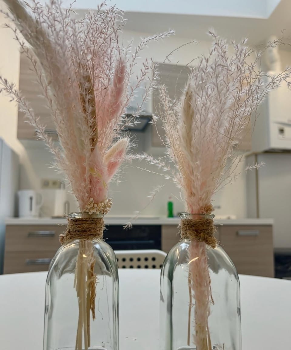 Charbex 2 Bruxelles-Charleroi-airport House in Charleroi