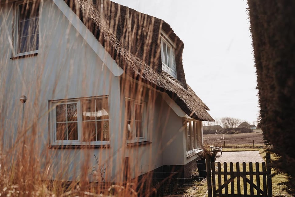 Property building, Day
