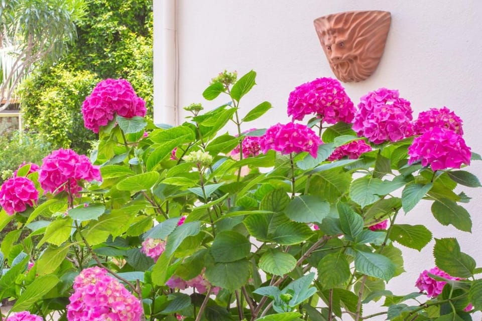 Cannes Holidays - Charmant, authentique, 3 Chambres, calme, Palais & Plage Apartment in Cannes